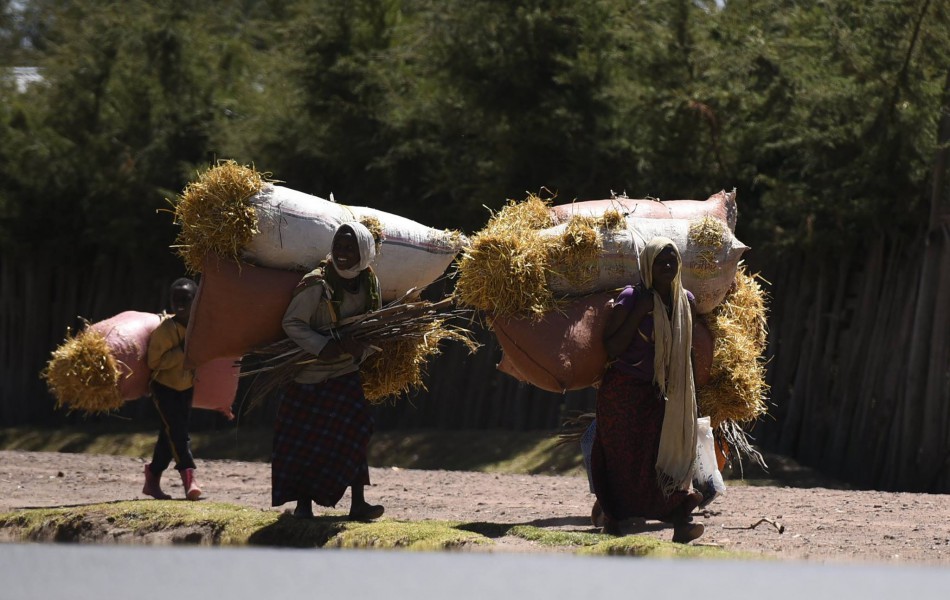 1658189_10153063301840859_8817624370657698205_o