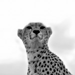 voyage photo kenya nikon school