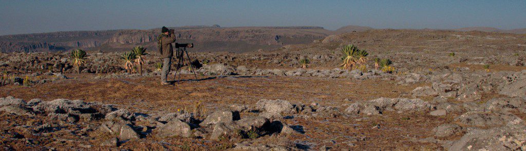 Ethiopie – Voyage découverte, observation et photographique