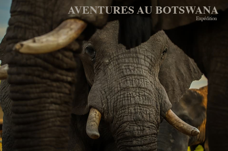 Botswana – Aventure 4×4 en autonomie